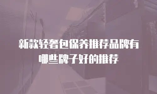 新款轻奢包保养推荐品牌有哪些牌子好的推荐