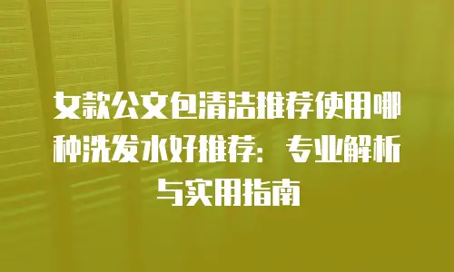 女款公文包清洁推荐使用哪种洗发水好推荐：专业解析与实用指南