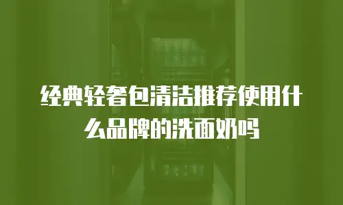 经典轻奢包清洁推荐使用什么品牌的洗面奶吗