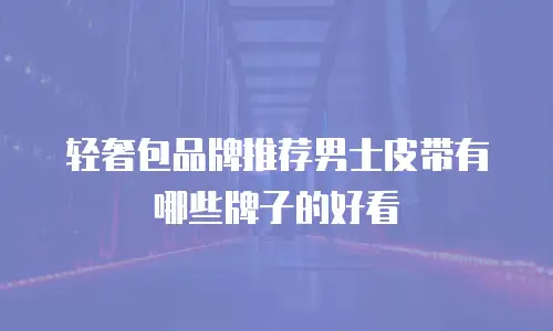 轻奢包品牌推荐男士皮带有哪些牌子的好看