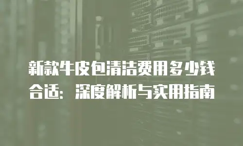 新款牛皮包清洁费用多少钱合适：深度解析与实用指南
