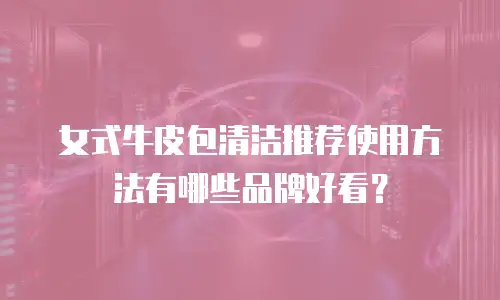 女式牛皮包清洁推荐使用方法有哪些品牌好看？