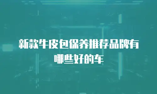 新款牛皮包保养推荐品牌有哪些好的车