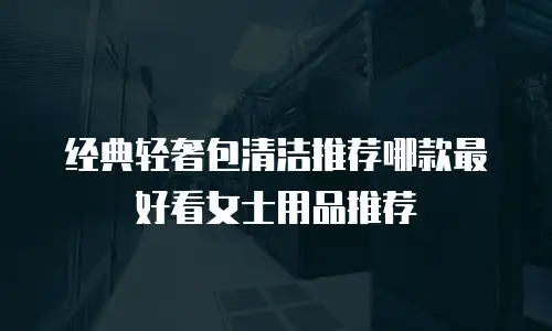经典轻奢包清洁推荐哪款最好看女士用品推荐
