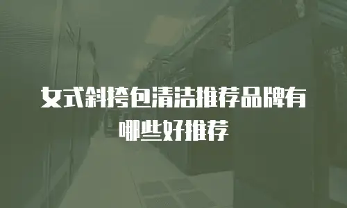女式斜挎包清洁推荐品牌有哪些好推荐