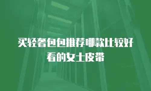 买轻奢包包推荐哪款比较好看的女士皮带