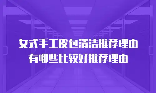 女式手工皮包清洁推荐理由有哪些比较好推荐理由