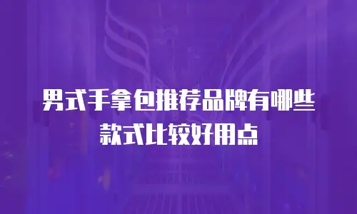 男式手拿包推荐品牌有哪些款式比较好用点