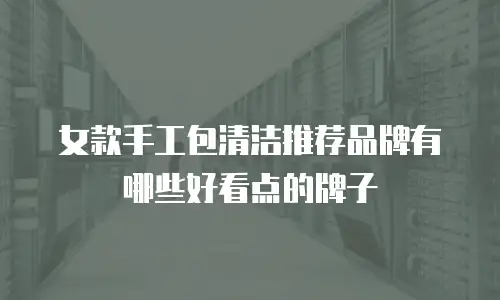 女款手工包清洁推荐品牌有哪些好看点的牌子