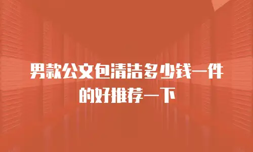 男款公文包清洁多少钱一件的好推荐一下