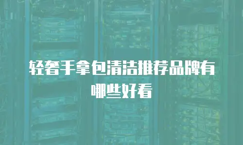 轻奢手拿包清洁推荐品牌有哪些好看