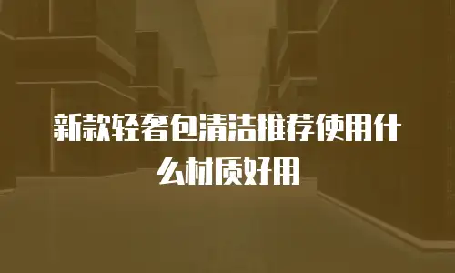 新款轻奢包清洁推荐使用什么材质好用