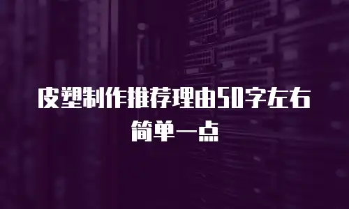 皮塑制作推荐理由50字左右简单一点