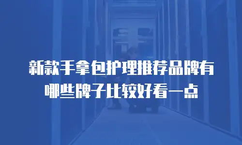新款手拿包护理推荐品牌有哪些牌子比较好看一点