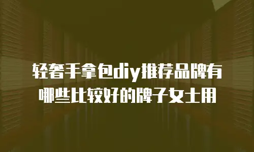 轻奢手拿包diy推荐品牌有哪些比较好的牌子女士用