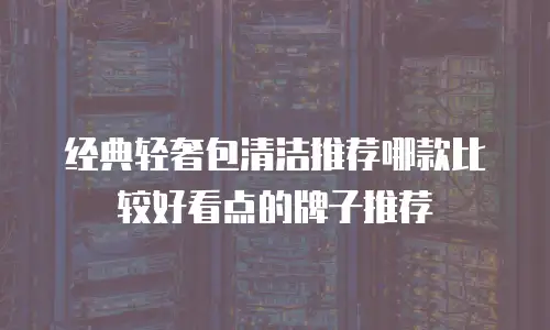 经典轻奢包清洁推荐哪款比较好看点的牌子推荐