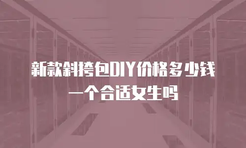 新款斜挎包DIY价格多少钱一个合适女生吗