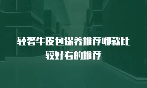 轻奢牛皮包保养推荐哪款比较好看的推荐