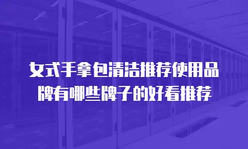 女式手拿包清洁推荐使用品牌有哪些牌子的好看推荐