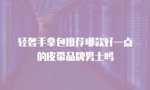 轻奢手拿包推荐哪款好一点的皮带品牌男士吗