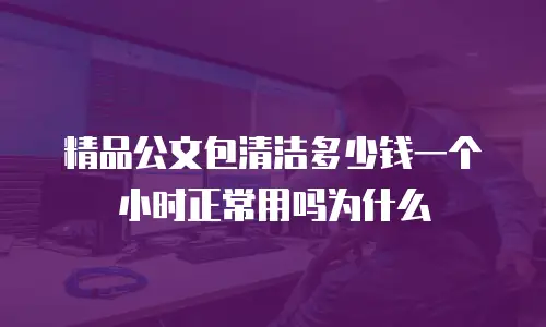 精品公文包清洁多少钱一个小时正常用吗为什么