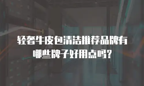 轻奢牛皮包清洁推荐品牌有哪些牌子好用点吗？