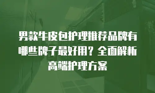 男款牛皮包护理推荐品牌有哪些牌子最好用？全面解析高端护理方案