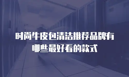 时尚牛皮包清洁推荐品牌有哪些最好看的款式