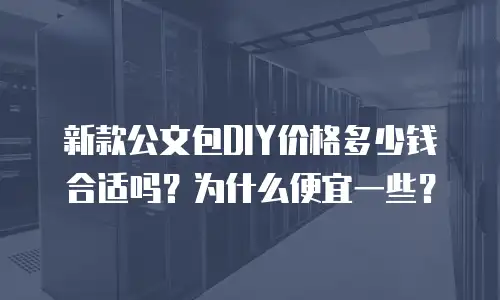 新款公文包DIY价格多少钱合适吗？为什么便宜一些？
