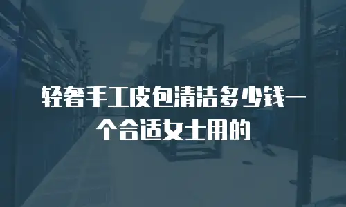轻奢手工皮包清洁多少钱一个合适女士用的