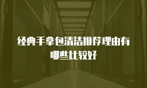 经典手拿包清洁推荐理由有哪些比较好