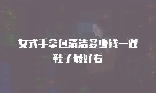 女式手拿包清洁多少钱一双鞋子最好看
