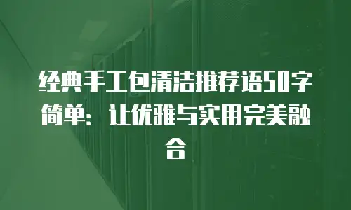 经典手工包清洁推荐语50字简单：让优雅与实用完美融合