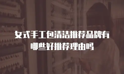 女式手工包清洁推荐品牌有哪些好推荐理由吗