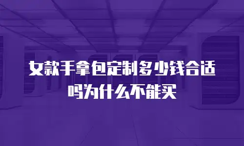 女款手拿包定制多少钱合适吗为什么不能买