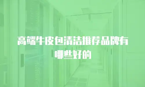 高端牛皮包清洁推荐品牌有哪些好的