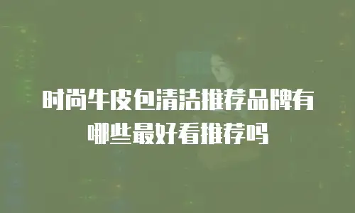 时尚牛皮包清洁推荐品牌有哪些最好看推荐吗