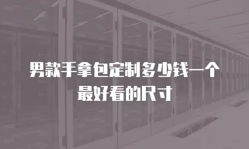 男款手拿包定制多少钱一个最好看的尺寸