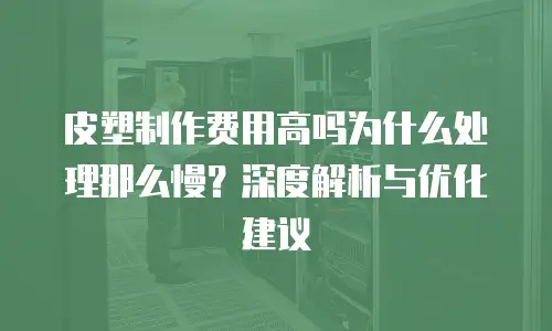 皮塑制作费用高吗为什么处理那么慢？深度解析与优化建议