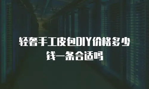 轻奢手工皮包DIY价格多少钱一条合适吗