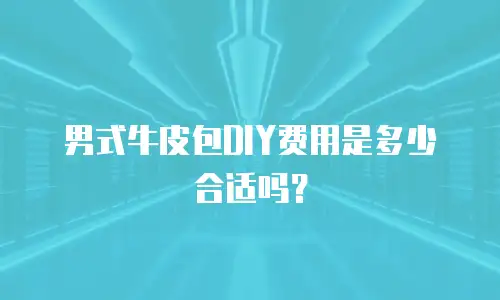 男式牛皮包DIY费用是多少合适吗？