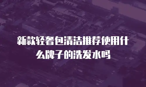 新款轻奢包清洁推荐使用什么牌子的洗发水吗