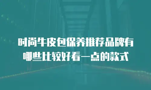 时尚牛皮包保养推荐品牌有哪些比较好看一点的款式