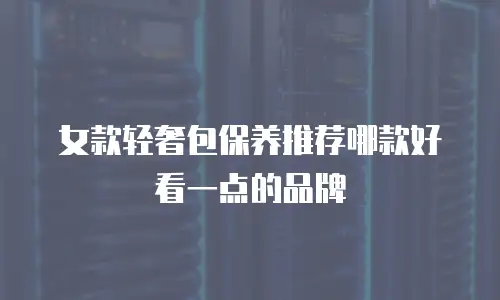女款轻奢包保养推荐哪款好看一点的品牌
