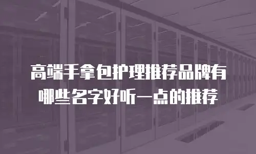 高端手拿包护理推荐品牌有哪些名字好听一点的推荐