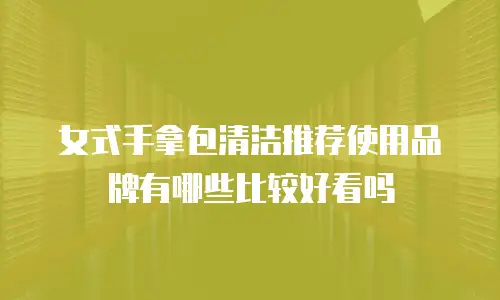 女式手拿包清洁推荐使用品牌有哪些比较好看吗