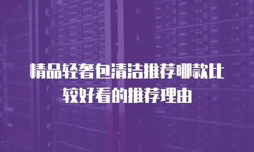 精品轻奢包清洁推荐哪款比较好看的推荐理由