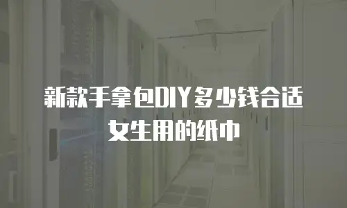 新款手拿包DIY多少钱合适女生用的纸巾