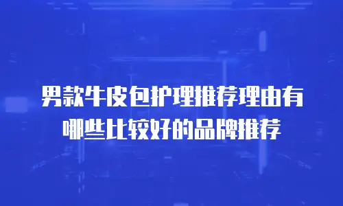 男款牛皮包护理推荐理由有哪些比较好的品牌推荐
