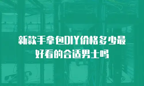 新款手拿包DIY价格多少最好看的合适男士吗